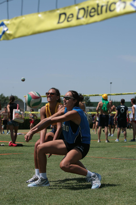 TorMeo 2012