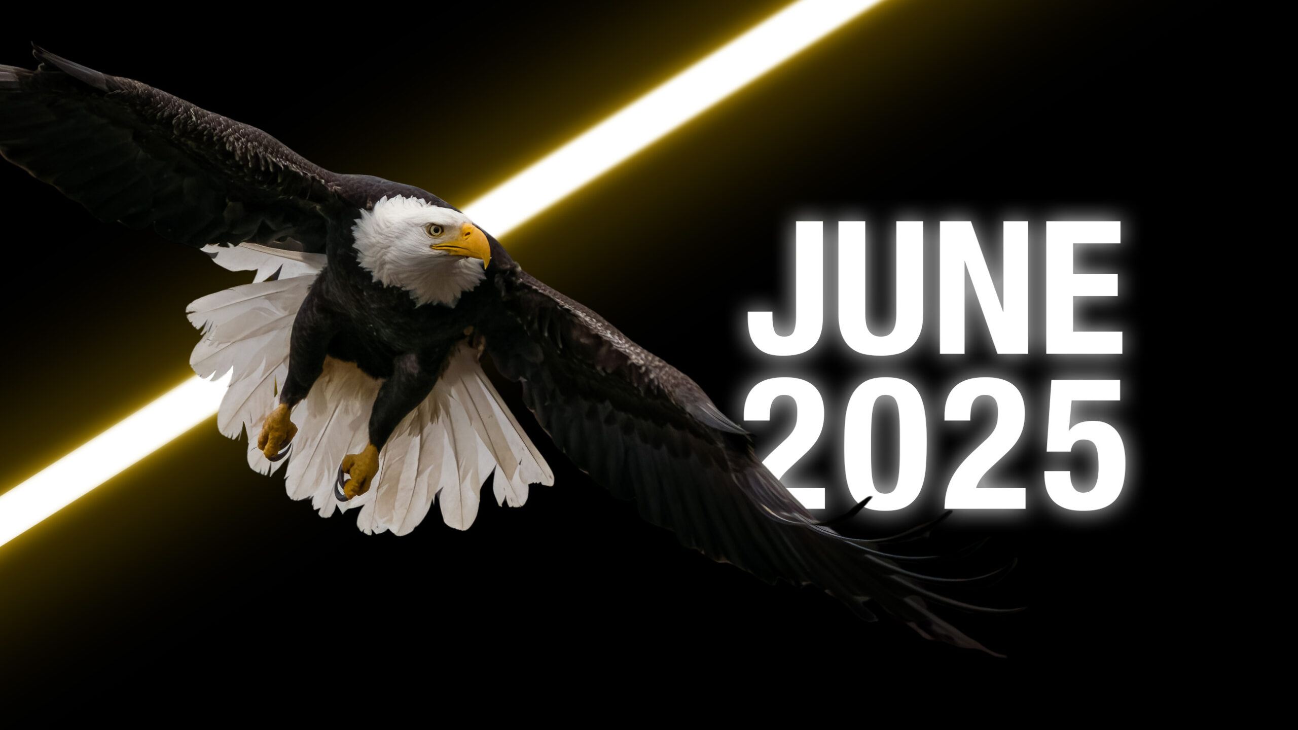 It's Back! June 2025